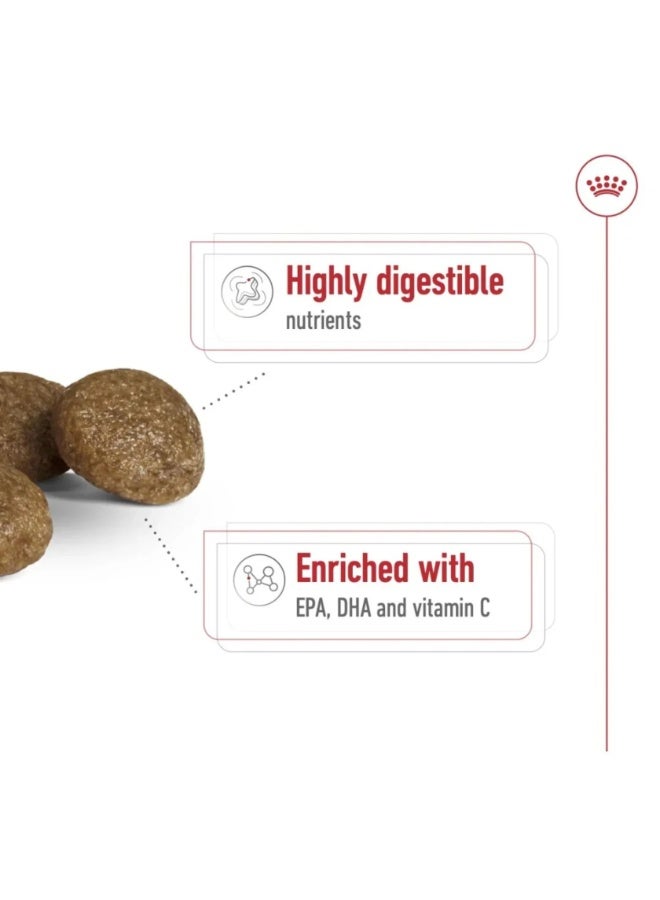 Royal Canin Size Health XS Adult Dry Dog Food - 1.5kg - Image 3